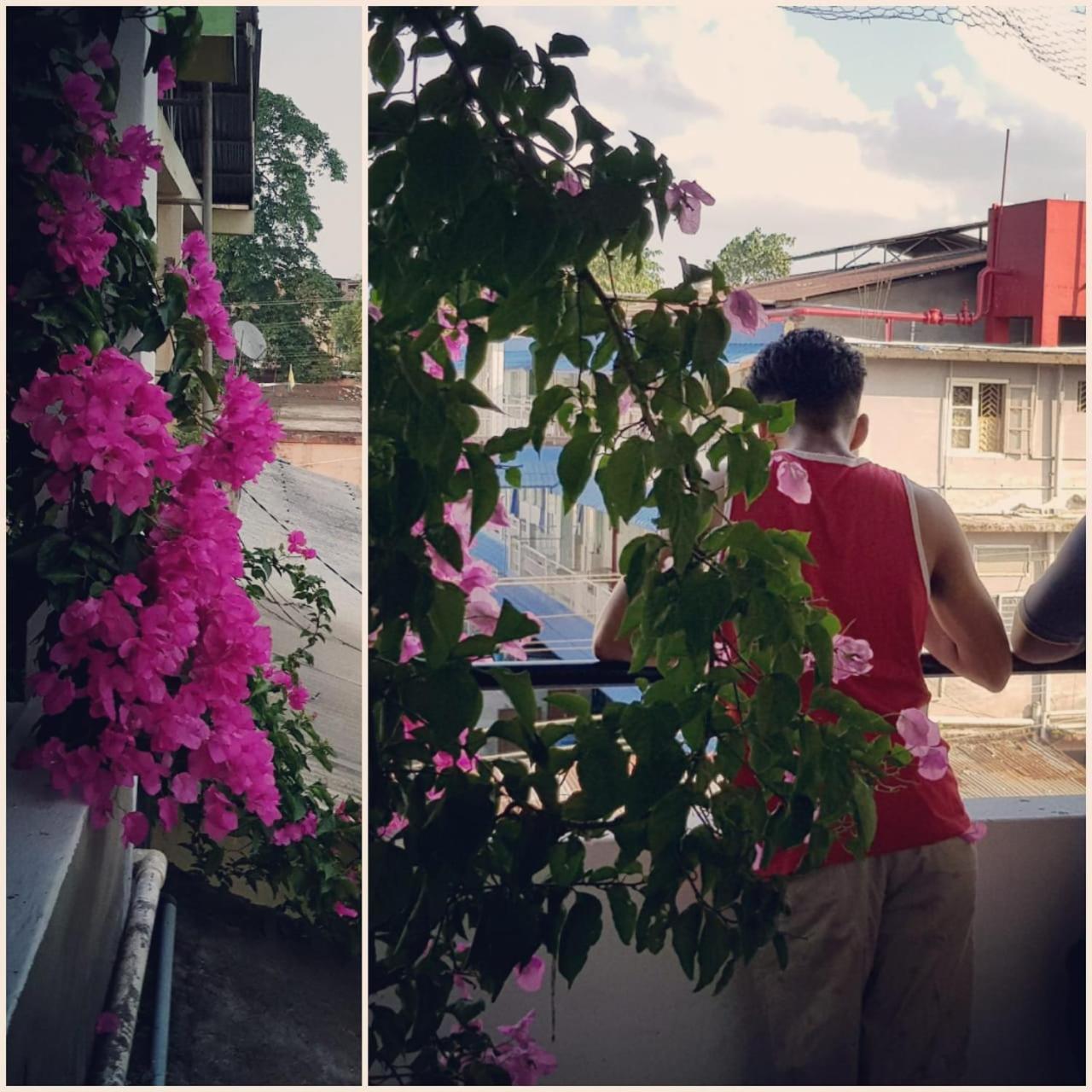 Bhaskar Homestay Dibrugarh Extérieur photo